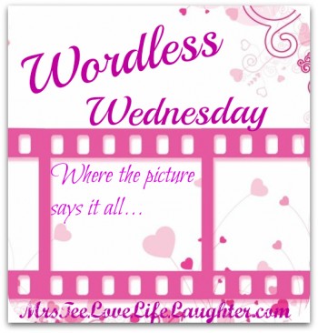 wordlesswednesdaypink