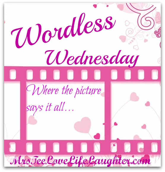 wordlesswednesdaypink