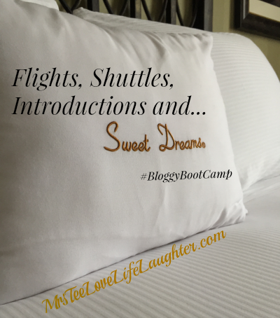 Flights-Shuttle-Introductions